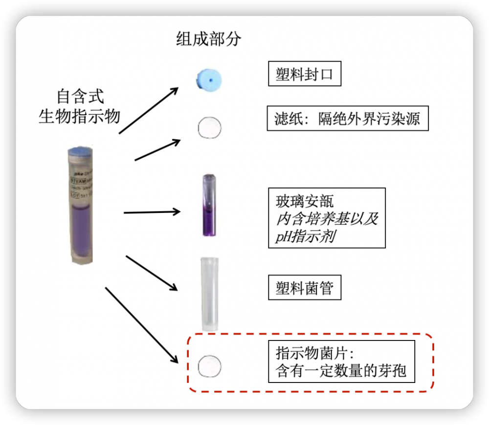 自含式生物指示劑結(jié)構(gòu).png